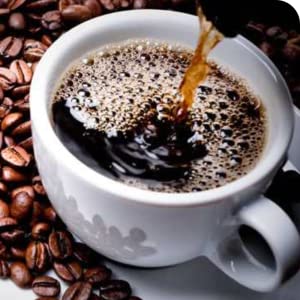 Café JEI French Press Coffee and Tea Maker